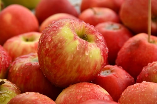 Olga Cossi – Applesauce